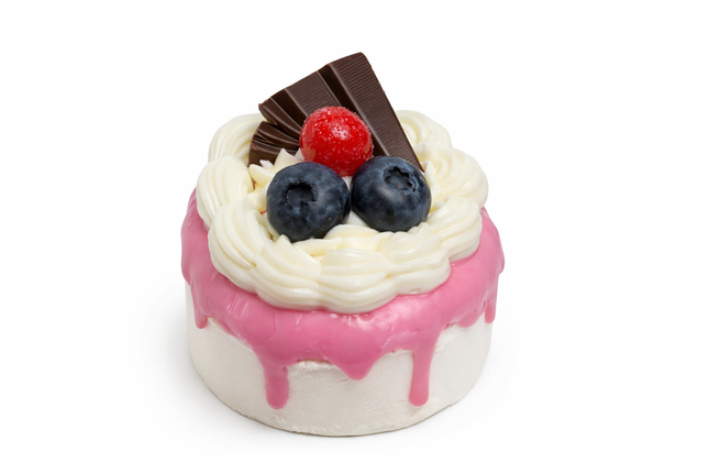 Artificial Cake Magnet – Multiple Designs