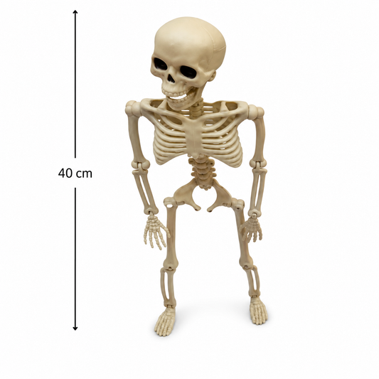 40cm Mini Skeleton Halloween Party Decoration Prop