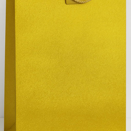 Gift Bags Medium Size 18x24x8.5 cm cm