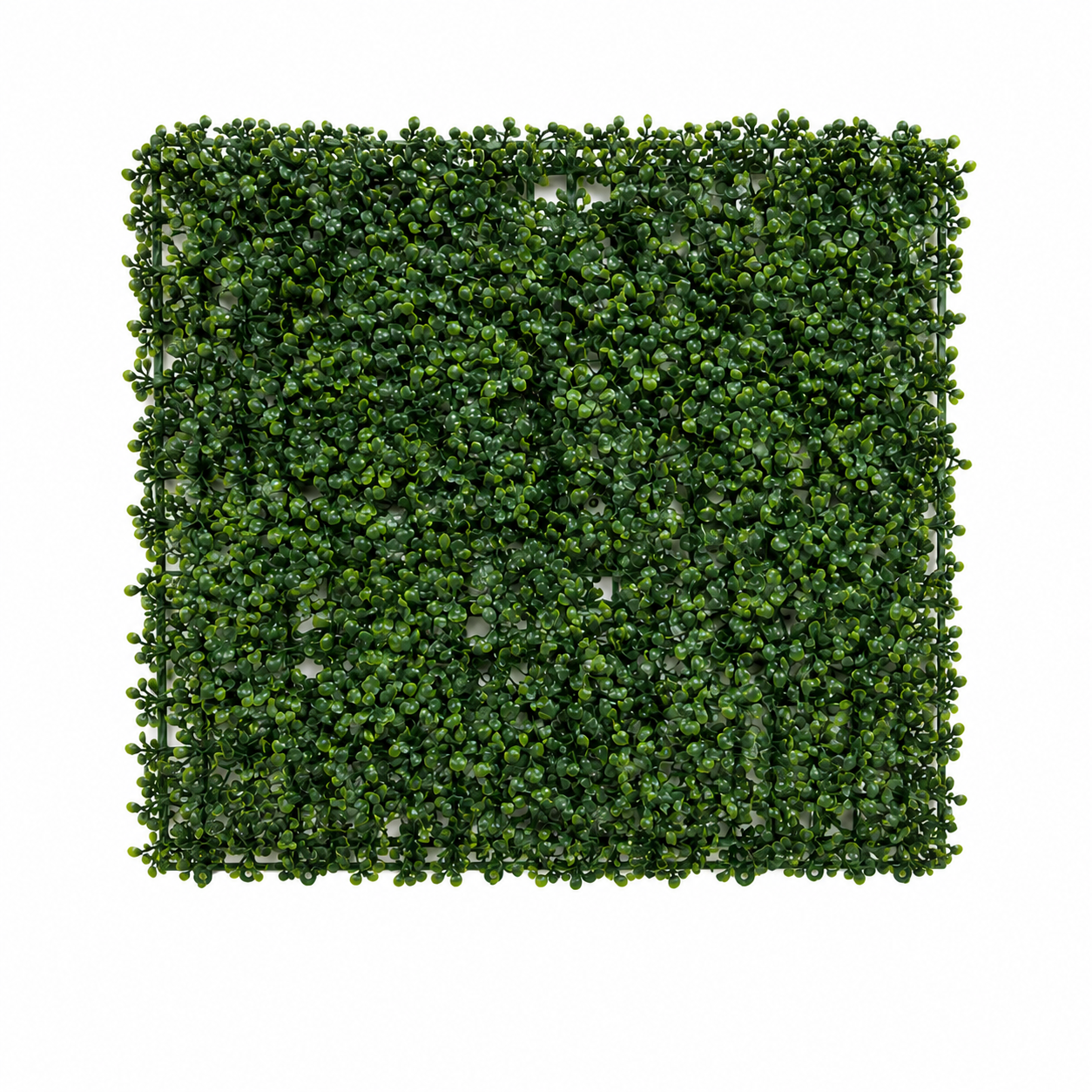 Artificial Boxwood Green Wall Panel 50x50cm