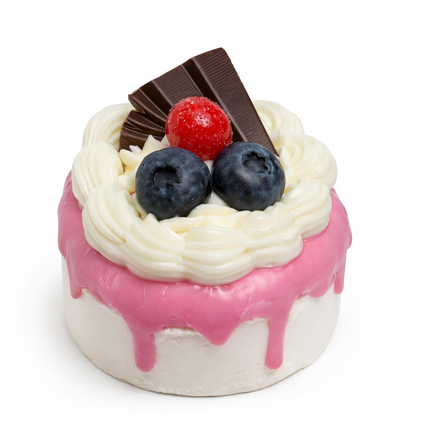 Artificial Cake Magnet – Multiple Designs