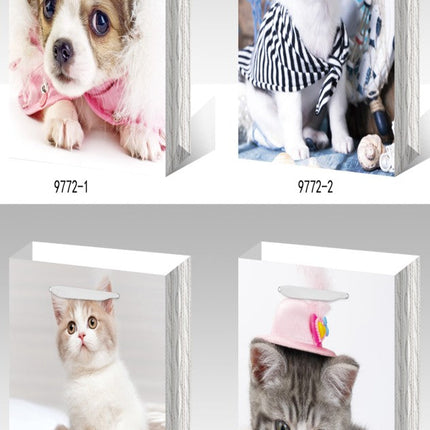 Medium Gift Bag - Pet Designs- 18x24x8.5cm