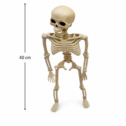 40cm Mini Skeleton Halloween Party Decoration Prop