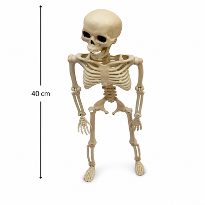 40cm Mini Skeleton Halloween Party Decoration Prop
