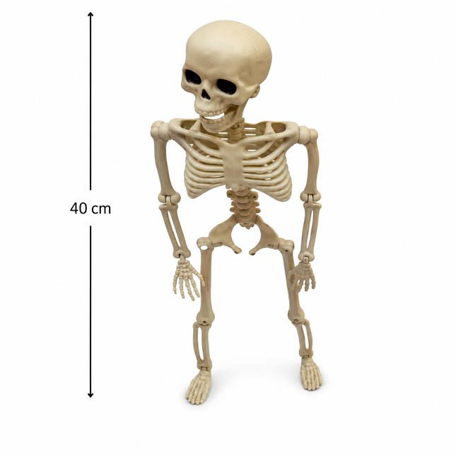 40cm Mini Skeleton Halloween Party Decoration Prop