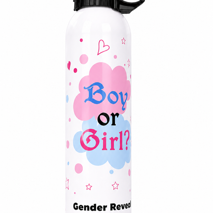 Gender Reveal Color Spray Pink